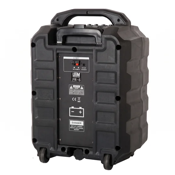 Leem PR-6 Акустическая система портативная с аккумулятором - 3